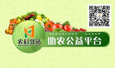 农科驿站
